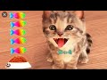 My Favorite Cat Little Kitten - Play Fun Cute  #115