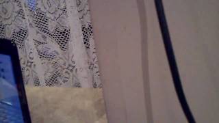 CLIP0101.AVI
