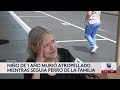 Niño de un año es atropellado mientras corría detrás de su perro