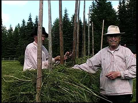 This 45:32 Meänkielen resursbibliotek film was published on 20 November 2023; its title identifies the subject as Hanhivittikko in 2013. The Swedish-language resource page describes traditional haymaking, making a sauna whisk and Tornedalen history, in Meänkieli and Swedish. Hanhivittikko is a separate rural heritage site in the wider municipality, not a venue in the town centre. Treat the upload date and the period named in its title as distinct.