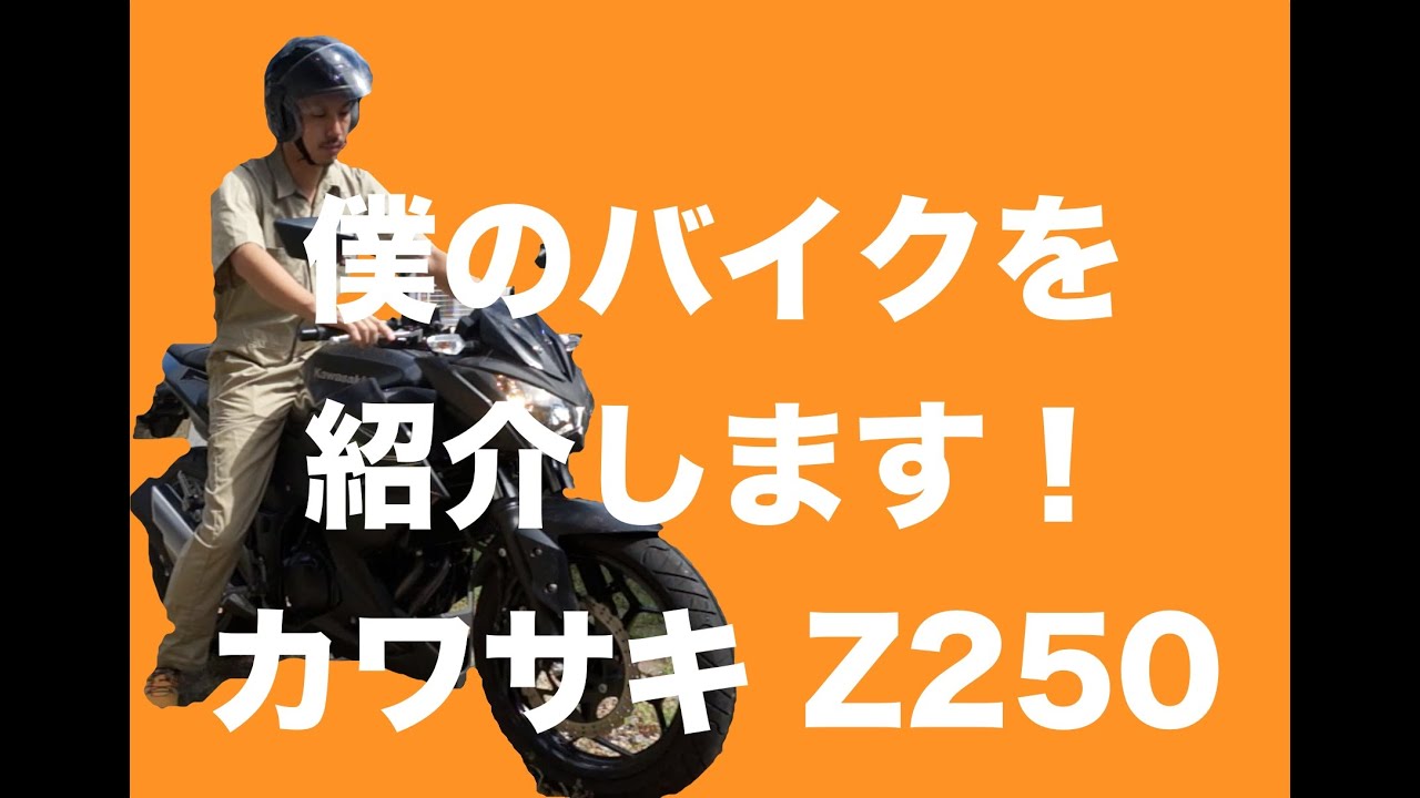 19890km ★始動動画あり★ カワサキ Z250 ER250C 中型　兵庫県　神戸市　バイク カワサキ Z250 2013年式 ER250Cの諸元・スペック情報 | ウェビック