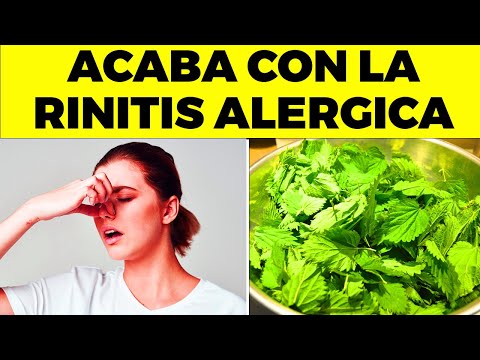 ALERTA! Por Esta Extraña Razón Tienes Rinitis Alérgica, Y Nadie Te Lo Dice, + Soluciones