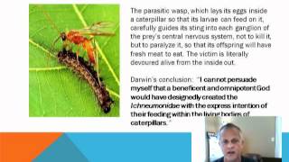 Understanding Darwin (part 2)