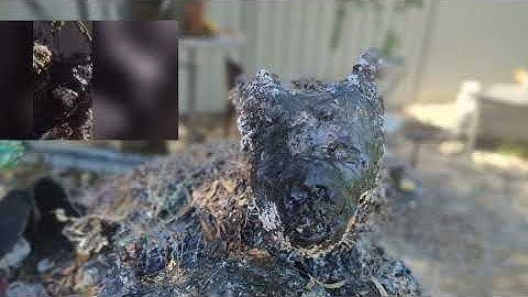 CRITIQUE: The Hyaenic Object as Post-Colonial Rupture | Critical Analysis