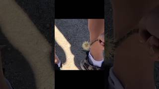 Famous Top Funny Fails of the Week 🤯🤣 #weekly Net Worth