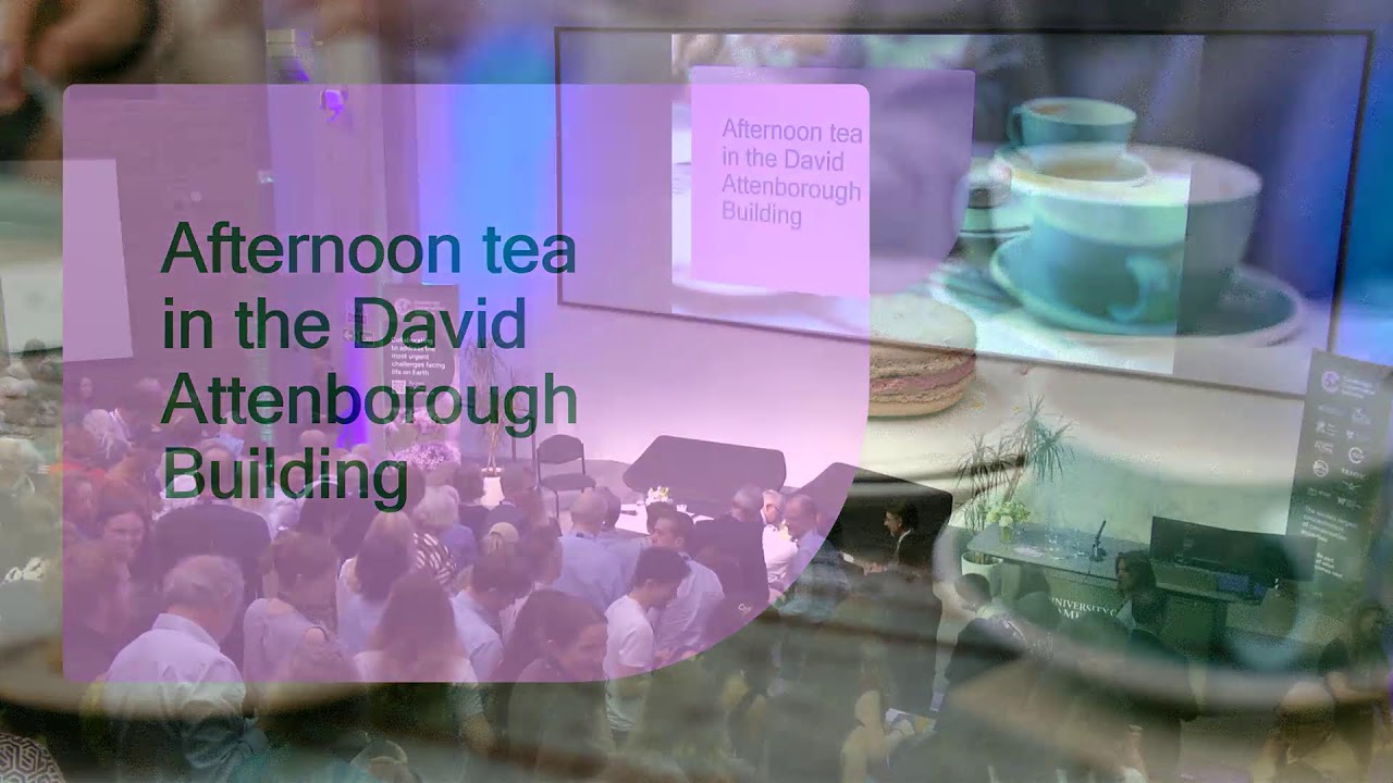 Celebrating Ten Years of CCI in the David Attenborough Building