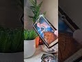 🌎🔮🌼📢🧿Your needed around the 🌎 #tarot#gifted#clarity#intuition#uplift#clairvoyant#