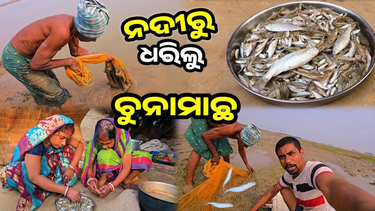 ନଦୀରୁ ଧରିଲୁ ଚୁନାମାଛ || Odia Family Vlog || Tapan Sanju Family Vlog