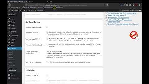 WordPress Autoptimize Plugin - How to properly configure (CSS and JS compression, webfont.js)