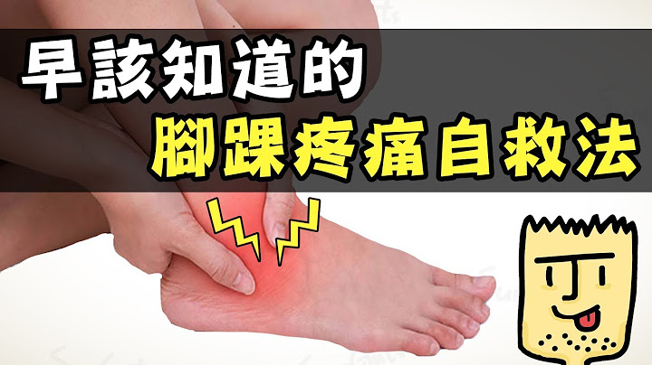怎么没有早点知道的脚踝疼痛自救法！｜疾病翻译机【三个字SunGuts】 - 天天要闻