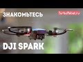 Представляем Вам DJI SPARK