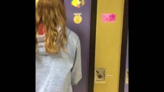 German IV Project 2
