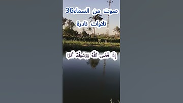 صوت من السماء 36 # تلاوة نادرة #قرآن #قران_كريم #قران #قرآن_كريم #اكسبلور #الشيخ مبارك  #الشيخ