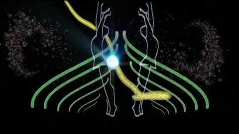 Experimental Animation Music Video (Collaborative Project)