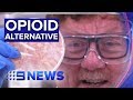 Australian fungus could be turned into pain relief drug  nine news australia