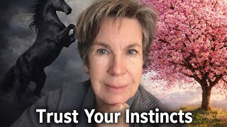 The Black Horse Moment Do You Follow Your Impulse Or Resist?