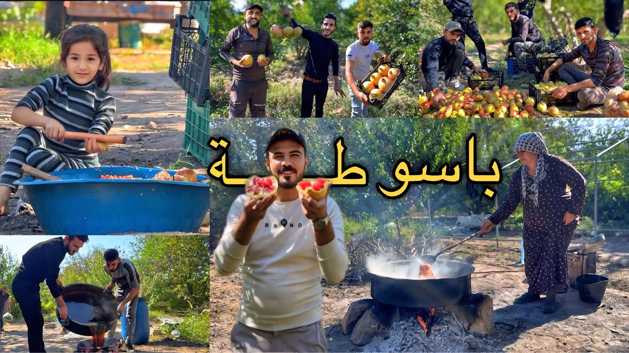 جولة في بساتين الباسوطة موسم قطف الرمان وعمل الدبس بخبرة الأجداد 