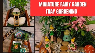 Miniature Fairy Garden | Miniature Garden Ideas | Tray Gardening | Miniature Tray Garden