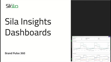 Sila Insights - Brand Pulse 360