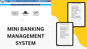 Mini Banking Management System