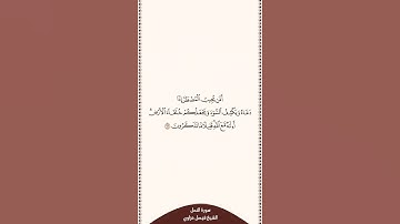 تلاوة في ٣٠ ثانية سورة النمل الآية ٦٢ الشيخ فيصل غزاوي