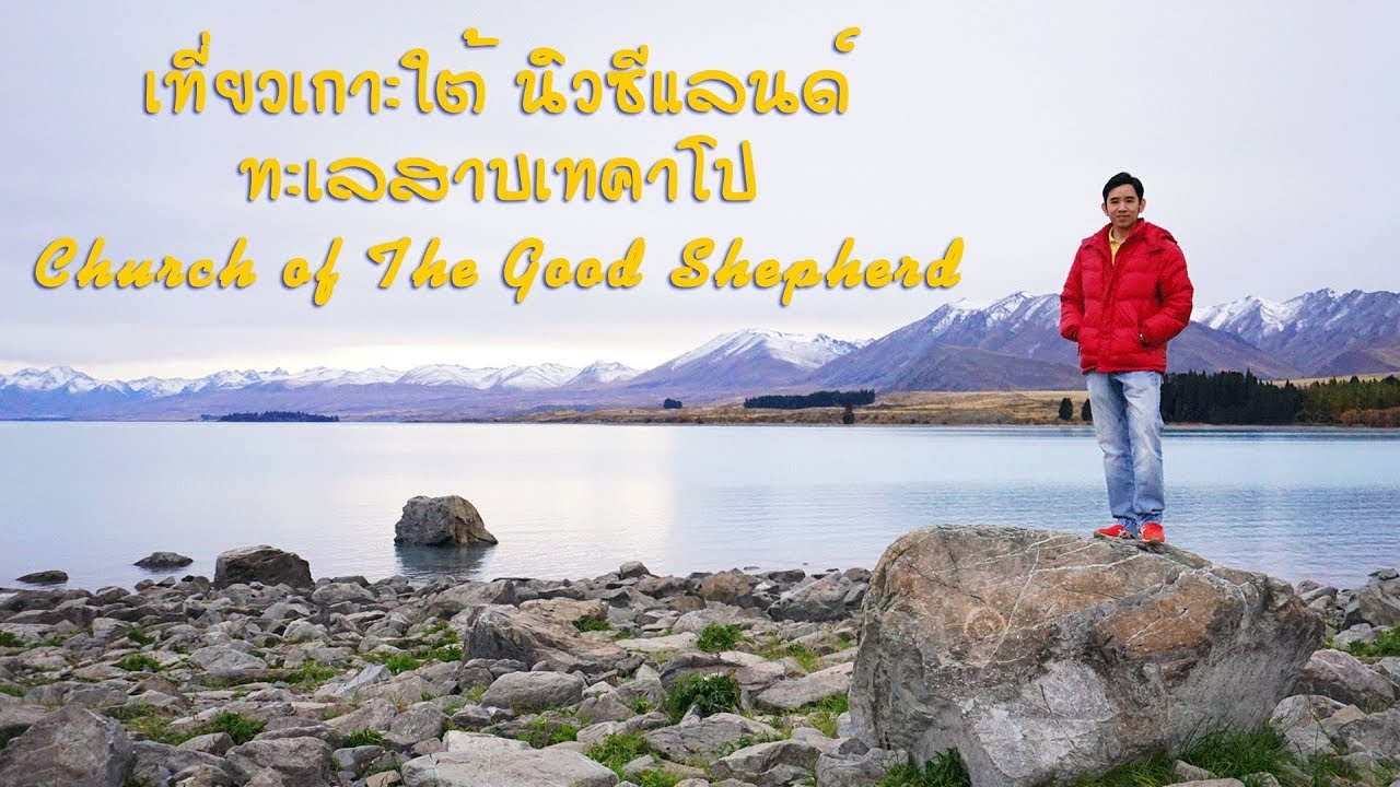 ทะเลสาบ เท คา โป  2022 New  กินช้อปเที่ยว EP15 เที่ยวนิวซีแลนด์เกาะใต้ ทะเลสาบเทคาโป Church of Good Shepherd