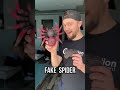 Remote SPIDER Prank!! 🕷🤣 #shorts
