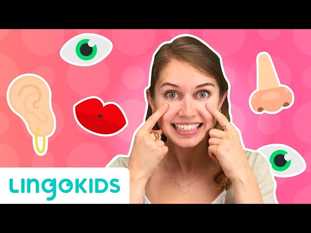 Learn Face Parts in English! for Kids | Lingokids class=