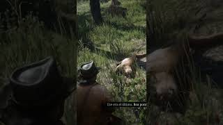 DA PRIMEIRA VEZ DEU RUIM… MAS AGORA EU SALVEI 😂 | RDR2 #shorts #rdr2