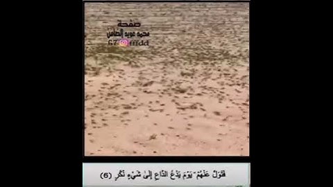 سورة القمر )(القارئ رعد الكردي)(فَتَوَلَّ عَنْهُمْ يَوْمَ يَدْعُ الدَّاعِ إِلَى شَيْءٍ نُّكُرٍ