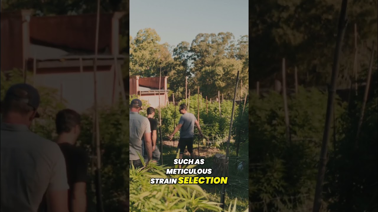 Uruguay's  Cultivating Culture and Sustainable Practices