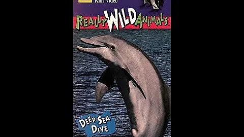 Opening To Really Wild Animals Deep Sea Dive! 1994 VHS