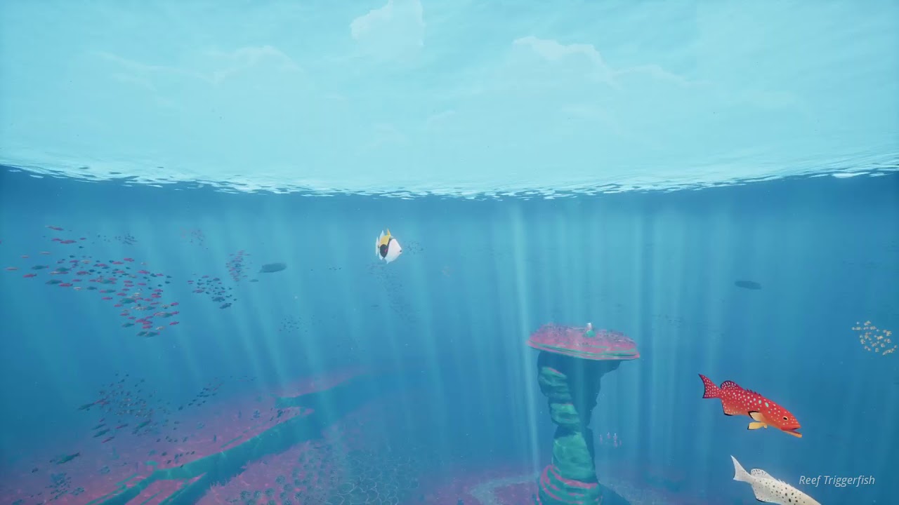 Abzu Underwater Sounds | Relaxing, Underwater Ambience for Sleep | HD Nature Video 3