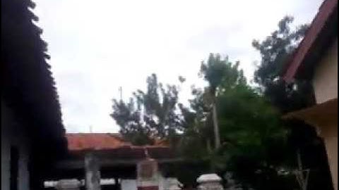 Ciblek darno bren jatibarang