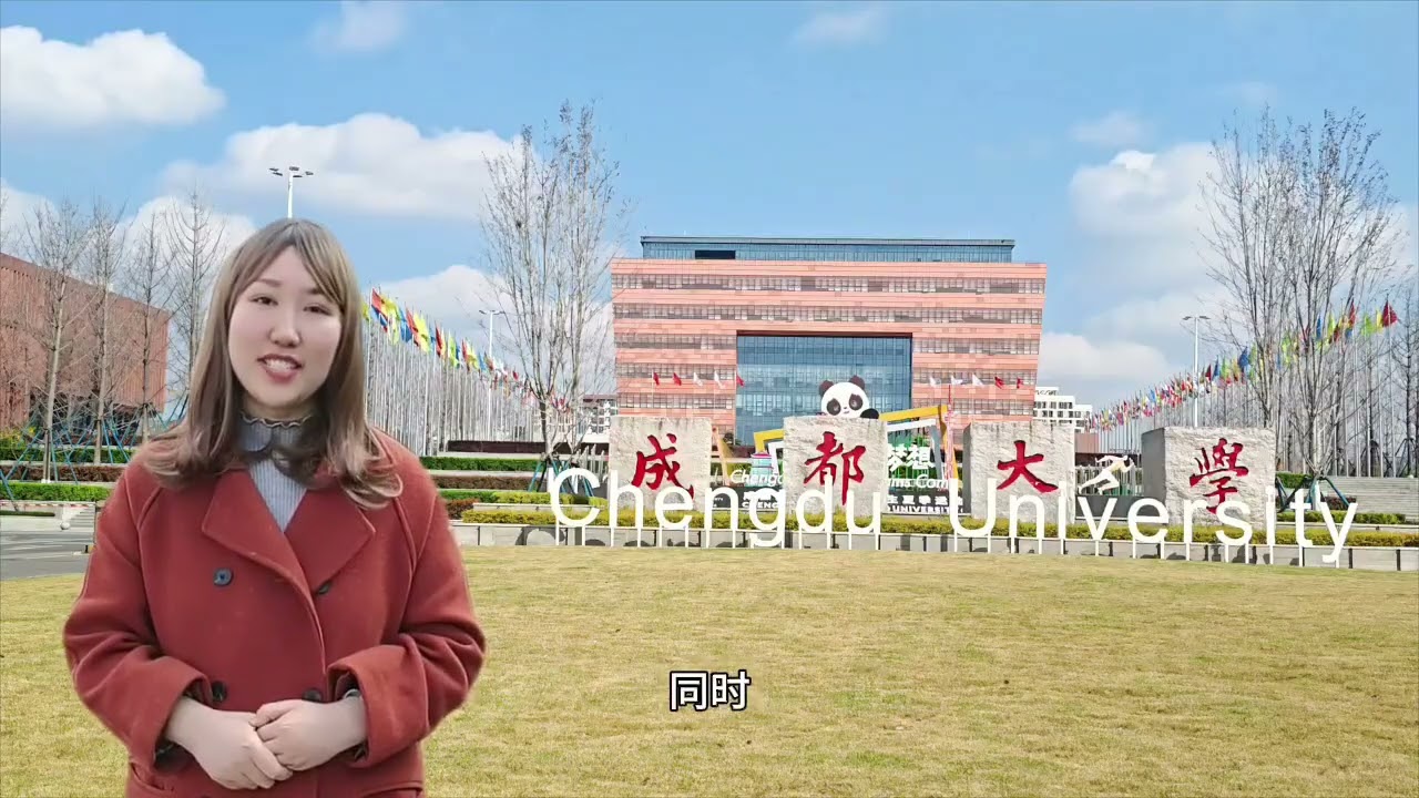 Global Chinese Competition