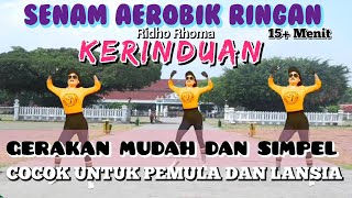 15 MENIT AEROBIC RINGAN - SENAM COCOK UNTUK PEMULA & LANSIA 💯