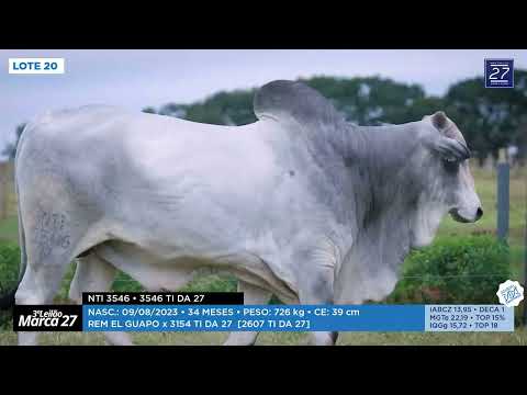 LOTE 20 - NTI 3546