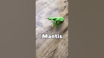 DIY PAPER MANTIS ORIGAMI WORLD TUTORIAL | HOW TO MAKE A MANTIS FROM PAPER EASY STEP BY STEP