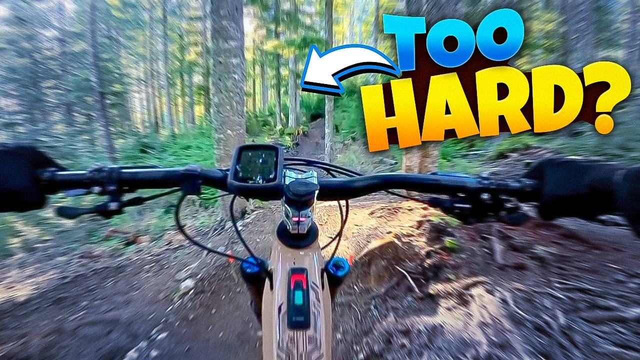 Все думают, что Страна Летучих Мышей слишком сложная... Они ошибаются.