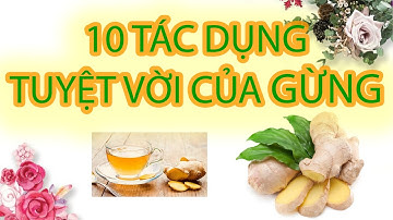 10 TÁC DỤNG TUYỆT VỜI CỦA GỪNG VÀ NHỮNG LƯU Ý ĐẶC BIỆT KHI SỬ DỤNG GỪNG