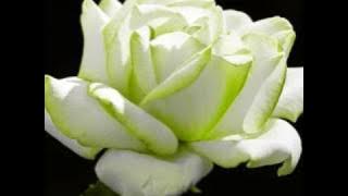 Demis Roussos - Summer Wine