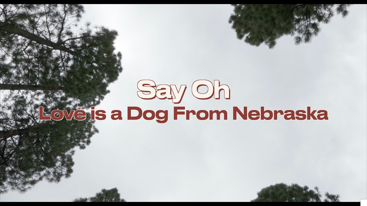 Watch "Say Oh" by Love is a Dog From Nebraska on YouTube Watch "Say Oh" by Love is a Dog From Nebraska on YouTube