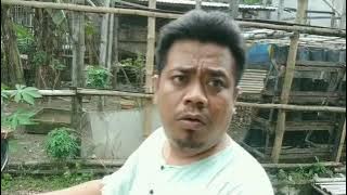 video viral 'Cari Utangan 'cocok buat status wa, Dagelan jowo