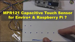 Celebrity MPR121 Capacitive Touch Sensor for Enviro+ & Raspberry Pi? Net Worth