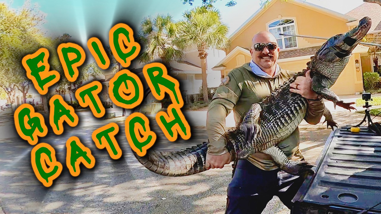 Alligator Explodes BIG Alligator EXPLODES After I Hook Him‼️ | EPIC Alligator Catch 🐊 ...
