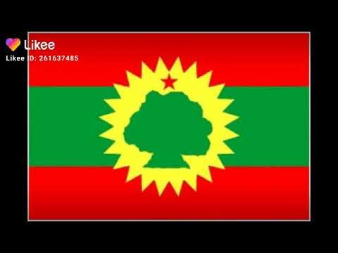 Faaruu Alaabaa Oromoo 