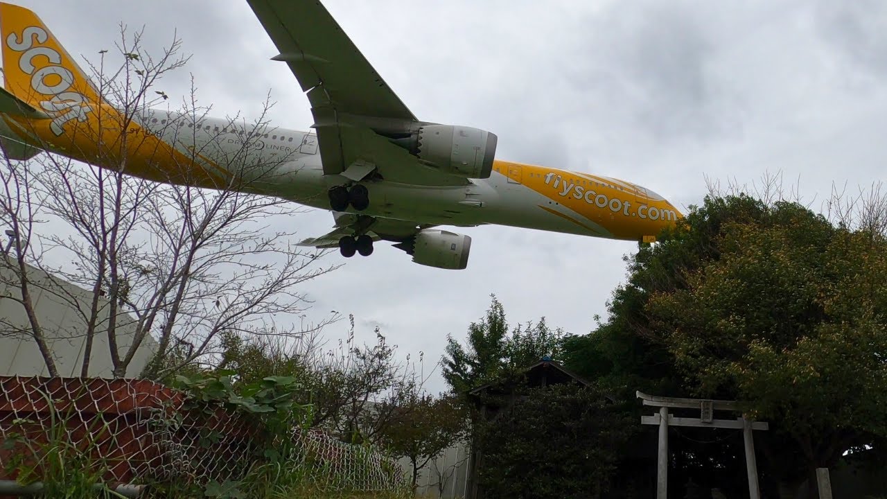 【東峰神社】成田空港 滑走路の真横【日本一職務質問される神社】飛行機を一番近くで撮れるスポット