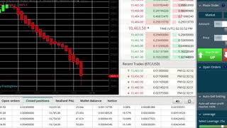 How to Leverage Trade BitSeven  Massive Gains Monday- DOWN DIRECTIONAL CALL