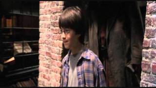 Say Goodbye Fan Made Harry Potter