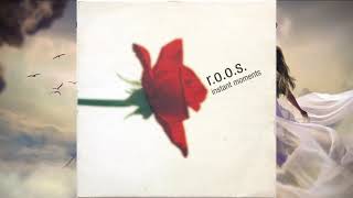 R.O.O.S. - Instant Moments (Moederoverste Onie Mix) - Basic Beat Recordings - 1997